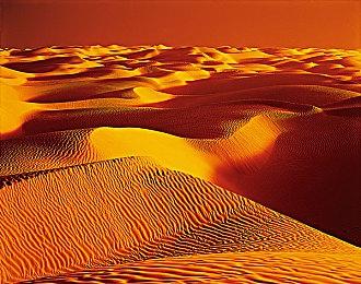 《灵魂骇客2》发布召唤师指南Vol.3 介绍游戏成长要素